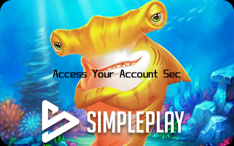 Access Your Account Securely